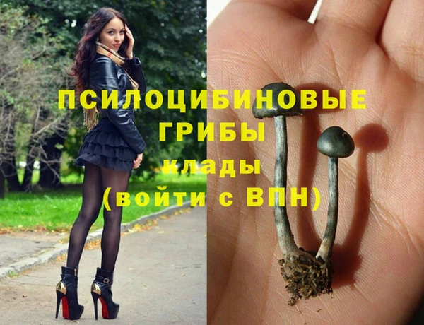 мет Алексин