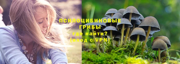 ГАЛЛЮЦИНОГЕННЫЕ ГРИБЫ Абинск
